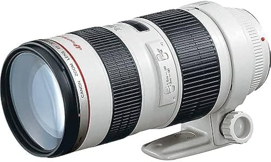 Amazon.com : Canon EF 70-200mm f/2.8L USM Lens (2569A004) + Filter
