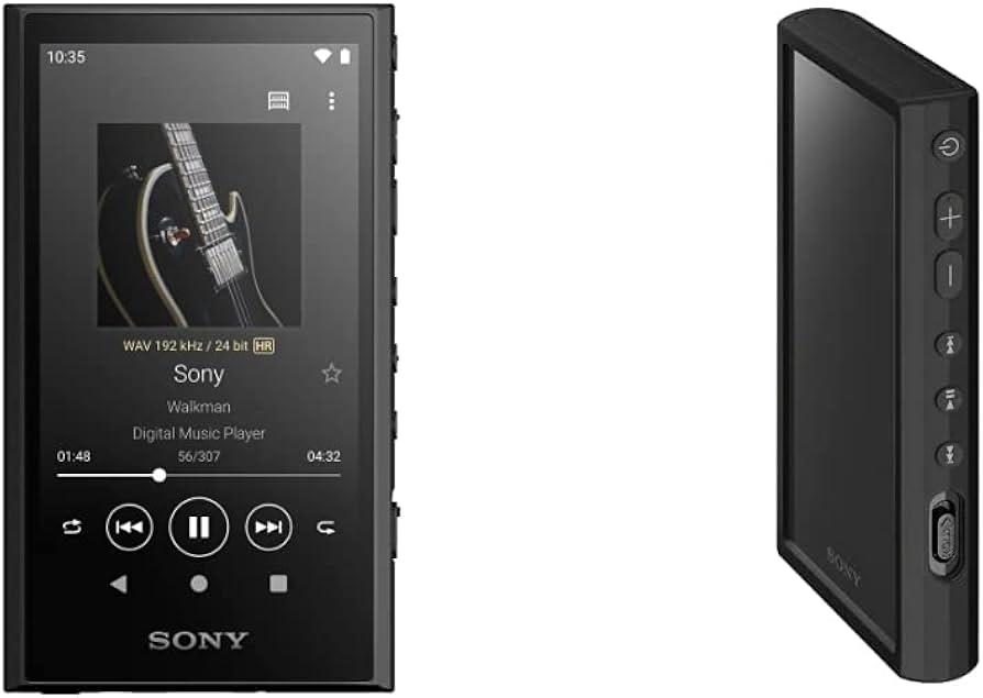美品中古 SONY NW-A306本体➕純正ケースと256Gのmicro SD 美品中古