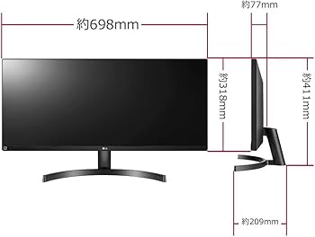 Amazon.co.jp: [Amazon.co.jp Exclusive] LG Monitor Display 29WL500