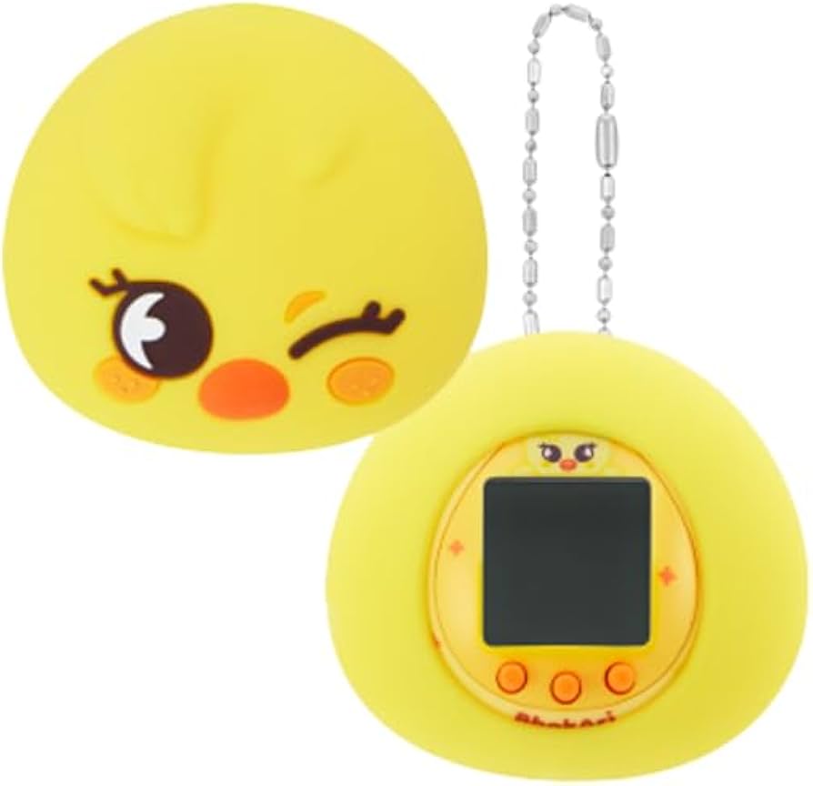 Amazon.com: (Official) SKZOO Digital Game Keyring & CASE Set