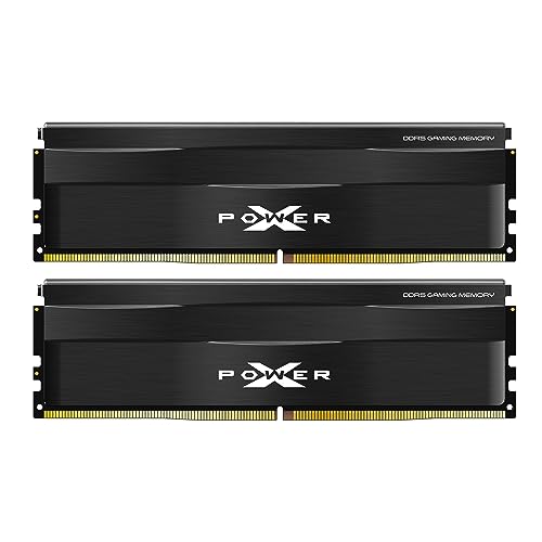 Biwin - DW100 DDR5 6000MT/s (PC5-48000) 64GB（32GB×2枚