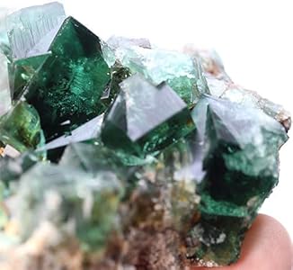 Amazon | イングランド・ダイアナマリア鉱山産 Fluorite フローライト