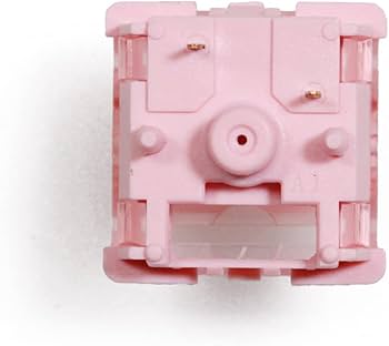 Amazon.com: KPREPUBLIC LCET Pink Quees Switch RGB Tactile 58g