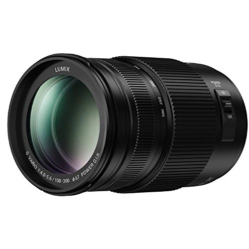 lumix g vario 100-300mm」の人気商品一覧 | 安い商品を通販サイトから