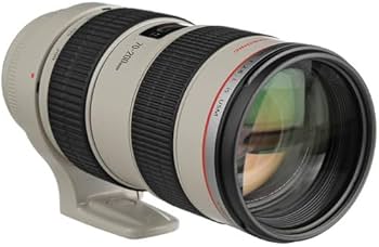 Amazon.co.jp: キャノン EF 70-200mm F/2.8L IS USM テレフォトズーム