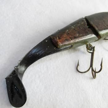 Amazon.co.jp: ？ACミノー ACプラグ ハッチェリートラウト 8インチ