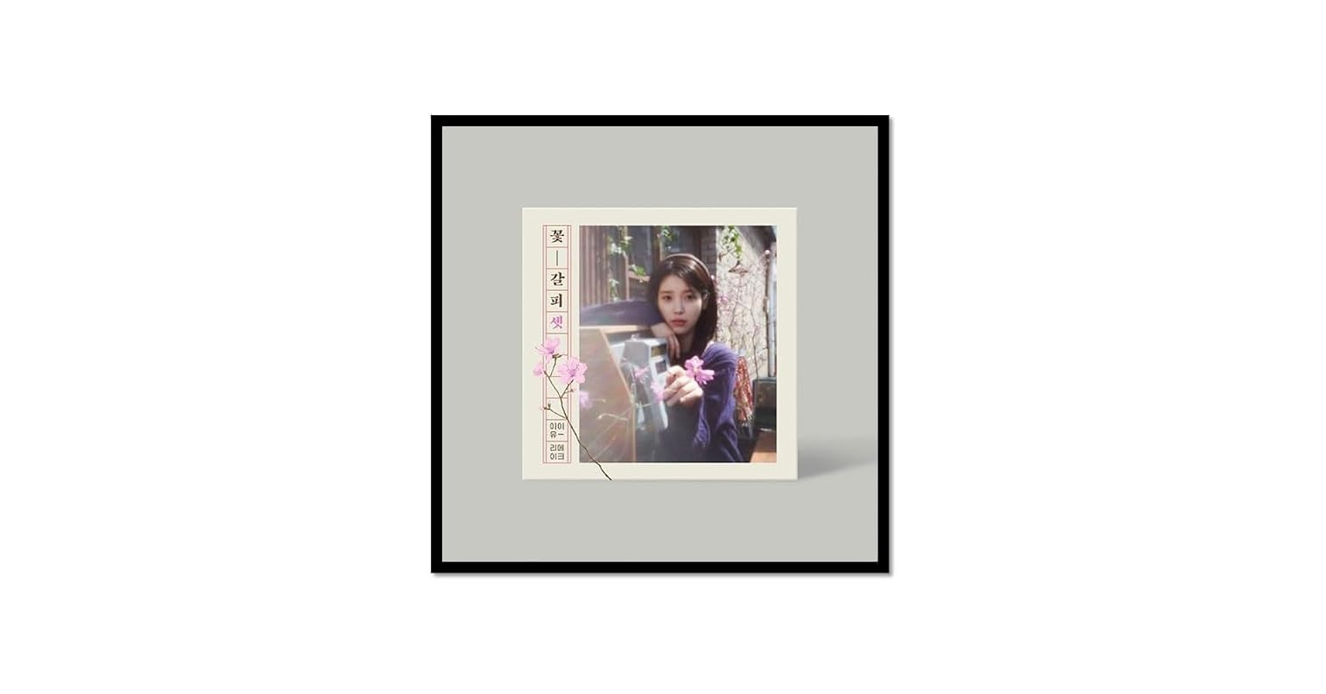 Amazon.com: IU KKOT-GALPI 3/꽃갈피 셋 EP Album CD+Photo Book+4 ID