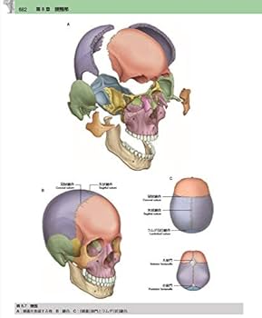 グレイ解剖学 原著第4版 電子書籍付(日本語・英語) | Richard L.Drake