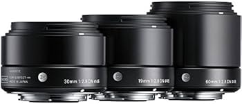 Amazon.com : Sigma 19mm F2.8 EX DN Art (Black) for Micro 4/3