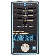 Amazon.co.jp: WALRUS AUDIO ウォルラスオーディオ Canvas Tuner