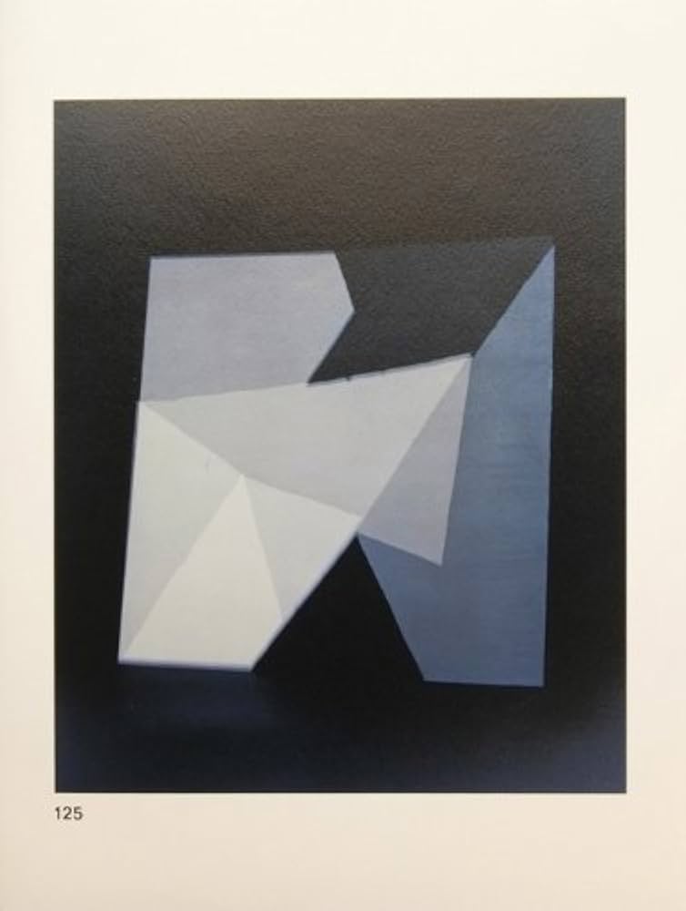 洋書 BOOK Multiple Densities / Katja Mater Amazon | Katja Mater