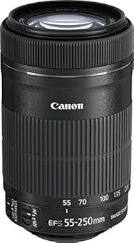 Amazon.co.jp: Canon レンズ EF-S55-250mm F4-5.6 IS STM : 家電＆カメラ