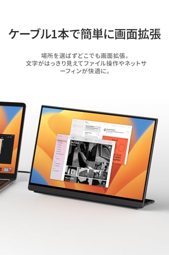 EHOMEWEI - モバイルモニター 144Hz 15.6インチ 2K LQG-156NW の評価