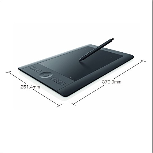 Wacom(ワコム) - ペンタブレット intuos Pro Mサイズ PTH-651/K1 の