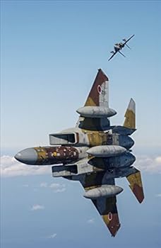 41gkSQLYzDL._AC_UF350,