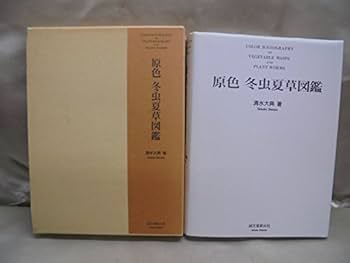 41ixuIJl4OL._AC_UF350,