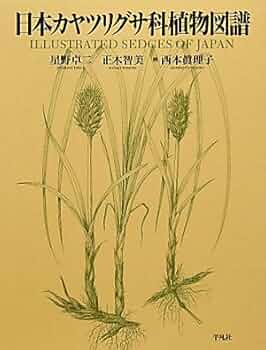 41jALTrdtGL._AC_UF350,