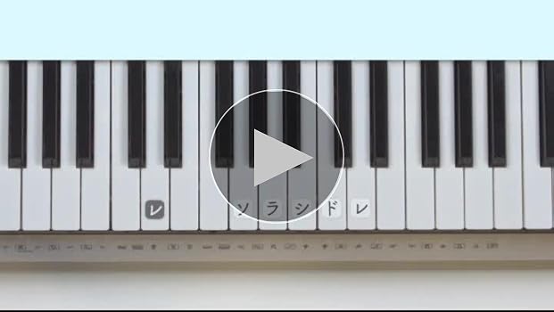 Amazon | CASIO(カシオ) 61鍵盤 電子キーボード LK-228 [光