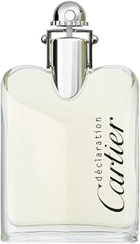 Amazon.com: Declaration Cologne Eau De Toilette Spray for Men by