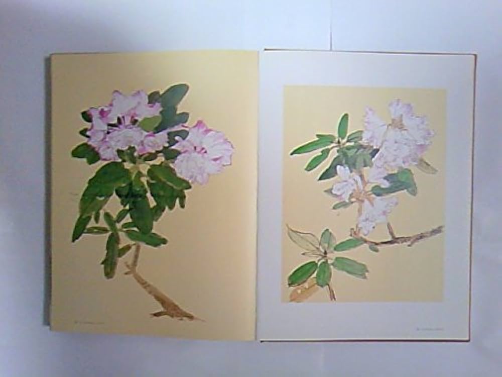 41lIvdFP3lL._AC_UF1000,