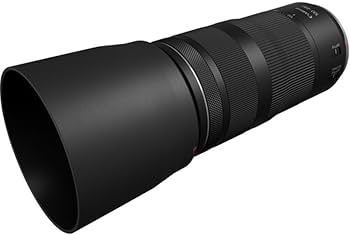 Amazon.com : Canon RF100-400mm F5.6-8 is USM, Telephoto : Electronics
