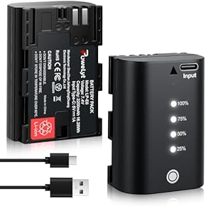 Amazon.co.jp: バッテリー・充電器・アダプター - アクセサリ: 家電