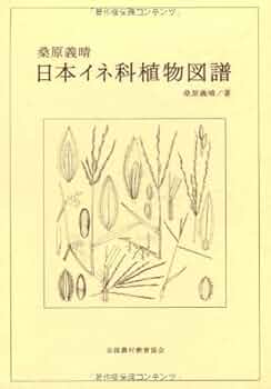 41ox7YASy-L._AC_UF350,