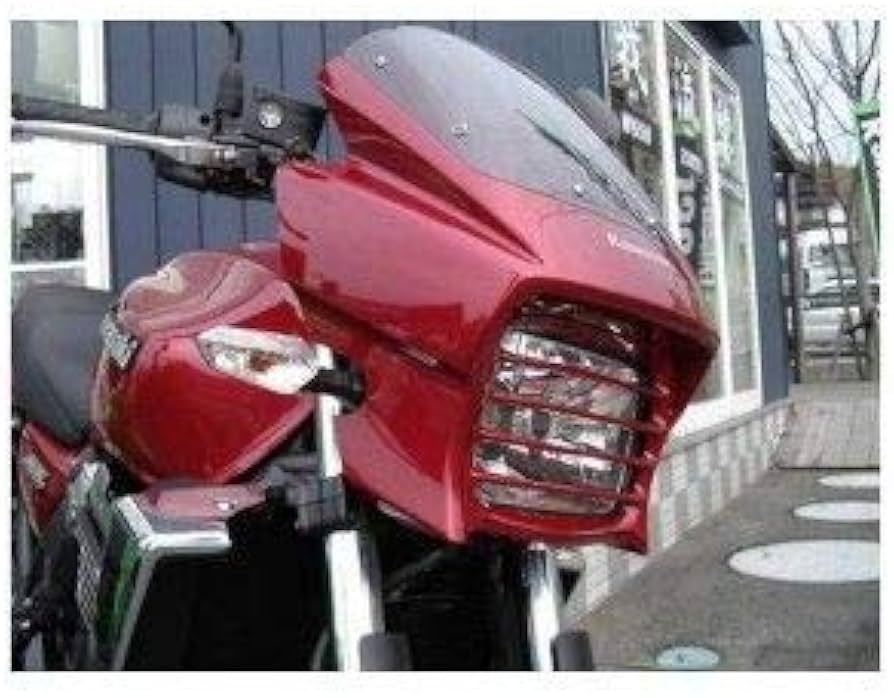 Amazon | プレジャー ヘッドライトルーバー カラー:メタリック