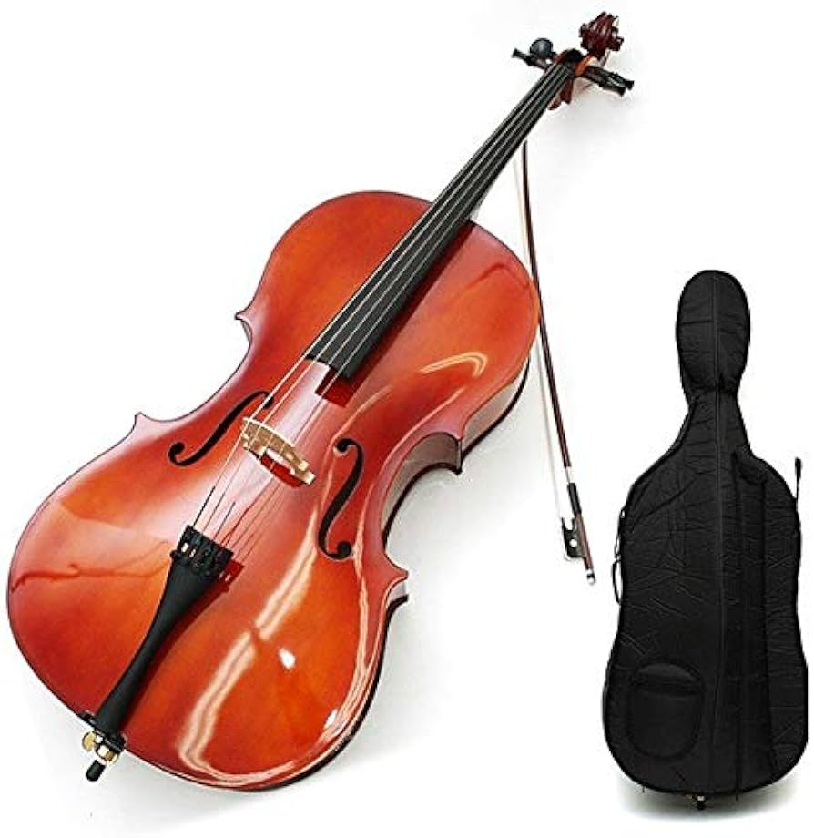 Amazon | カルロジョルダーノ チェロアウトフィット SC-100 3/4
