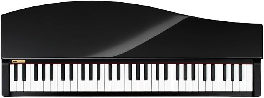 Amazon.com: Korg microPiano 61 - Key Minature Grand Piano, Black