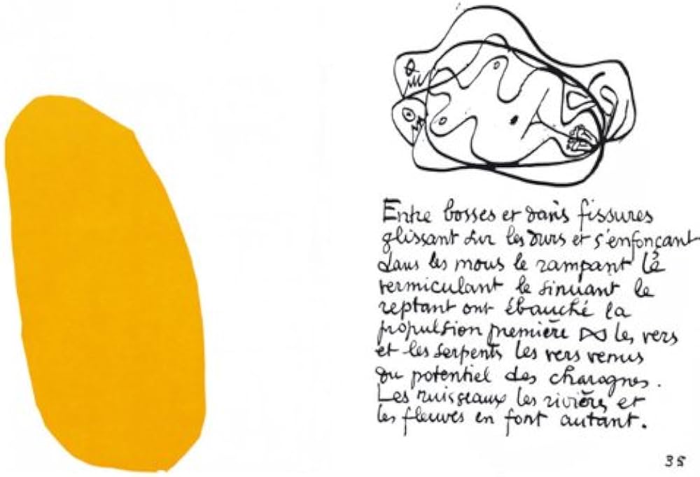 Amazon.com: Le Corbusier: Le poème de l'angle droit: 9783775734707