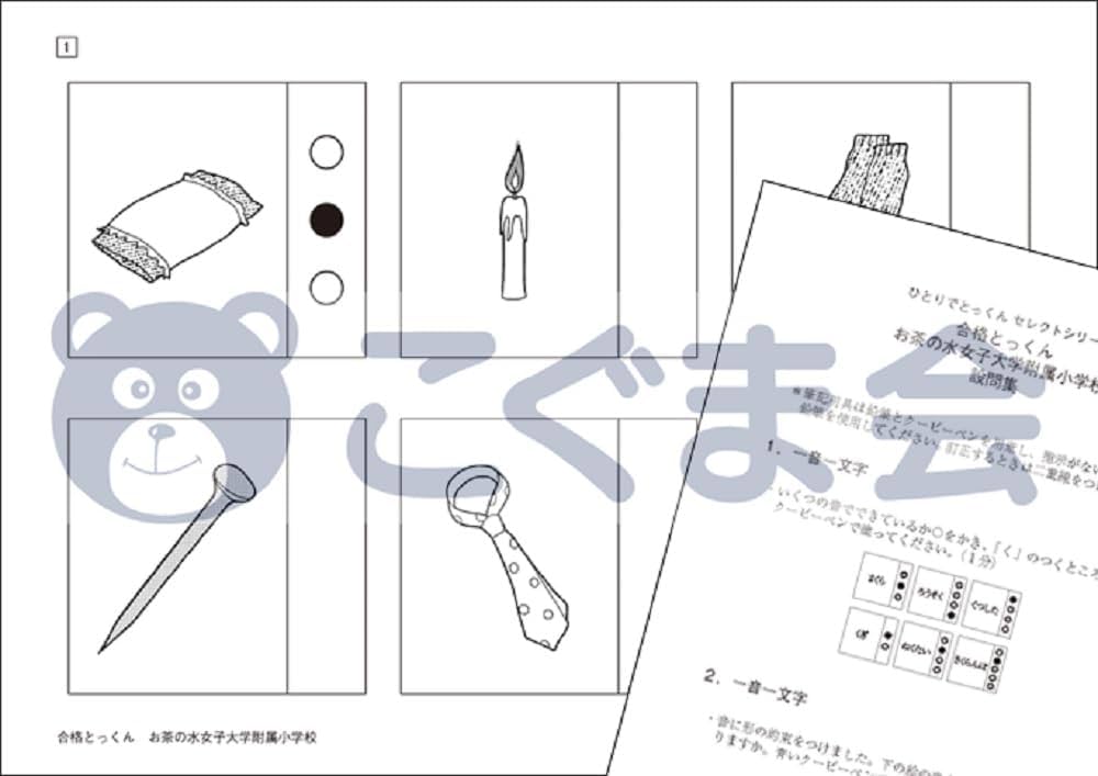 合格とっくんお茶の水女子大学附属小学校 | こぐま会, 中村真由美