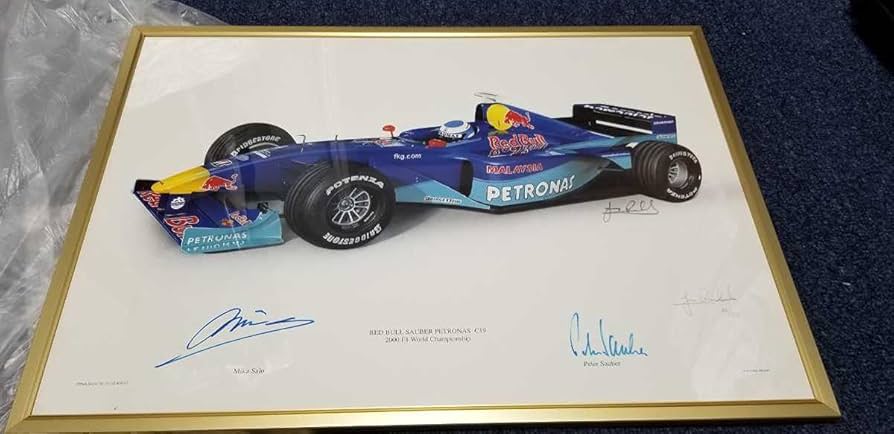 Amazon.co.jp: F1、直筆サイン、写真。F1ドライバー、ミカ・サロの直筆