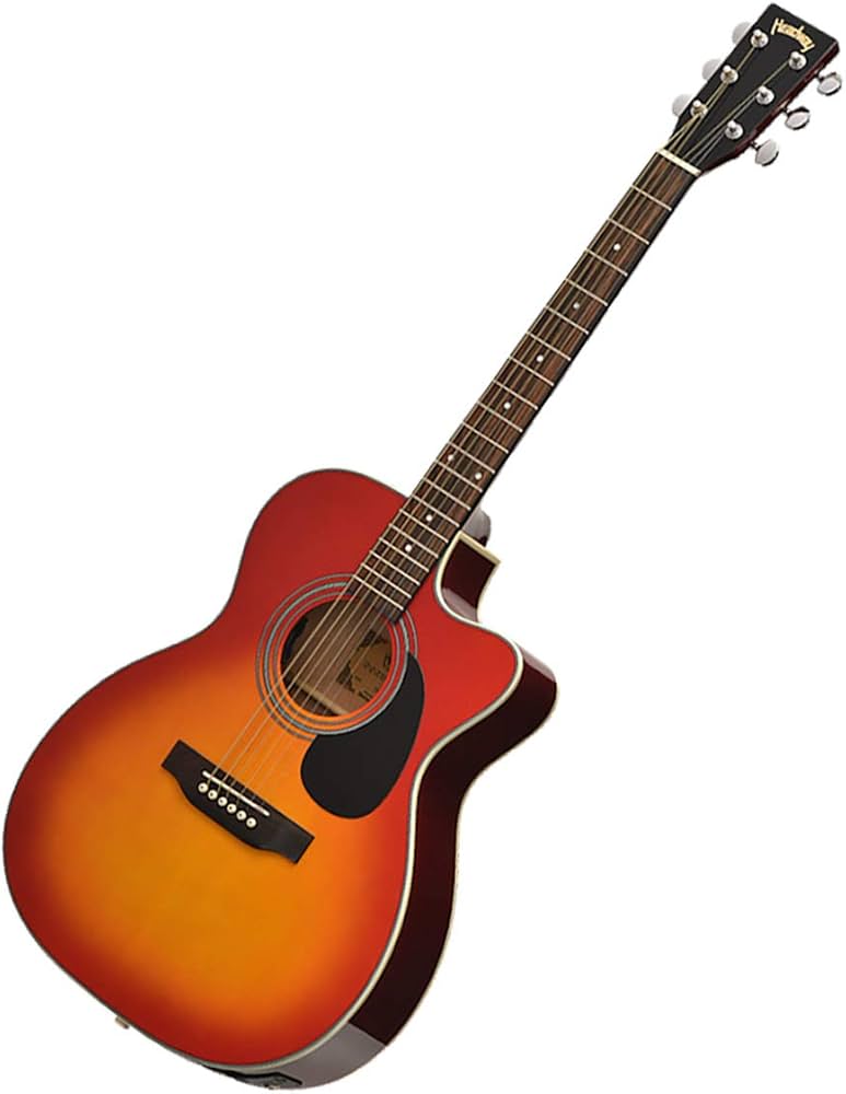 Amazon.co.jp: Headway HEC-45 CS チェリーサンバースト カッタウェイ