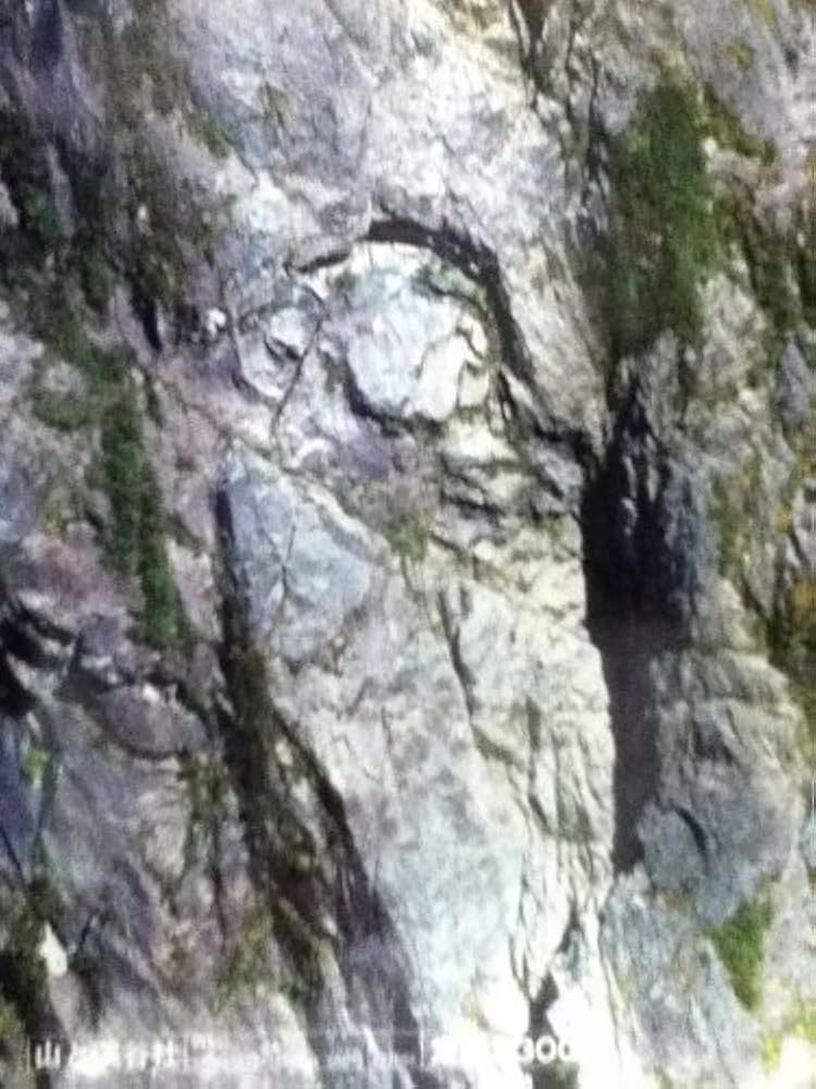 Amazon.co.jp: 北岳・甲斐駒と黒部の岩場 : 岡田昇: 本