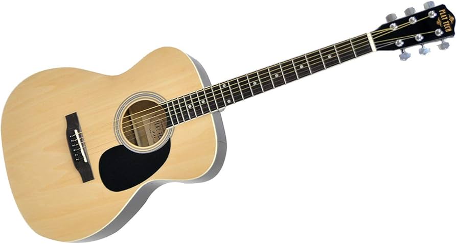 Amazon.co.jp: PLAYTECH(旧ZENN） プレイテックゼン アコースティック