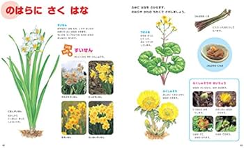 冬 (新版・ふれあいしぜん図鑑) | 横山洋子 |本 | 通販 | Amazon