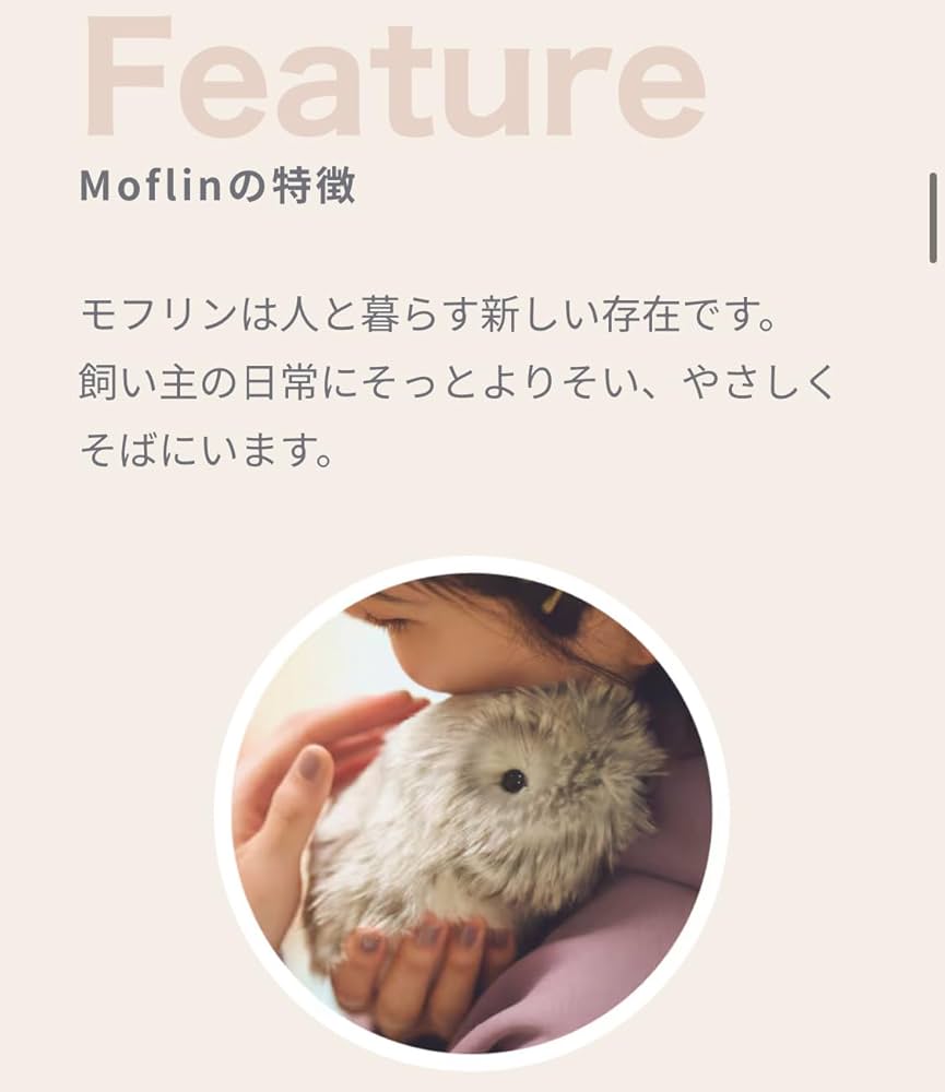 Amazon | カシオのAIペット moflin(モフリン) シルバー | ロボット