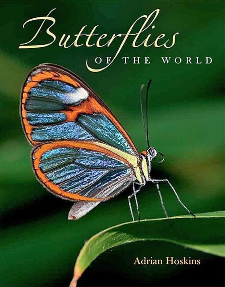 Amazon.com: Butterflies of the World: 9781421427171: Hoskins