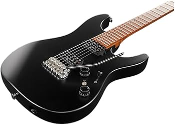 Amazon.com: Ibanez Prestige AZ2402 Electric Guitar - Black Flat