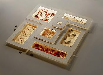 Amazon | Peter Zumthor 1985–2013: Buildings and Projects | Durisch