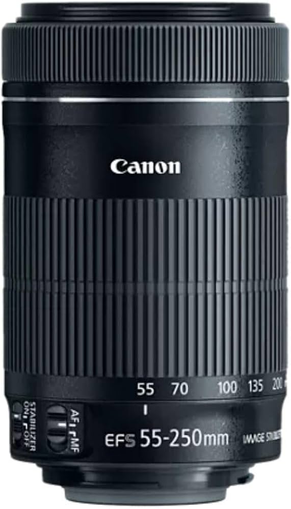 Amazon.com : Canon EF-S 55-250mm F4-5.6 is STM Lens for Canon SLR