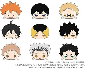 Amazon.co.jp: もちもちマスコットWA ハイキュー!! vol.1 BOX商品 全9