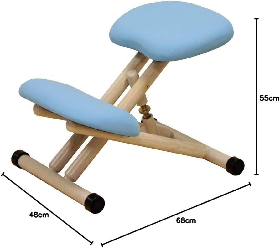 Amazon.co.jp: 姿勢が良くなる バランスチェア プロポーションチェア