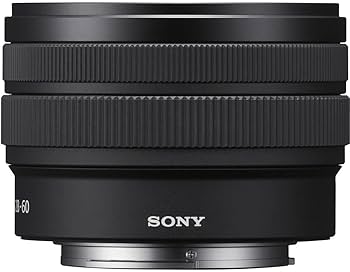 Amazon.com : Sony FE 28-60mm f/4-5.6 Lens (SEL2860) + Filter Kit +