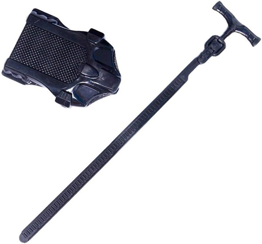 Amazon | xinri-verygood ゴールド ギャラクシー ペガサス ペガシス