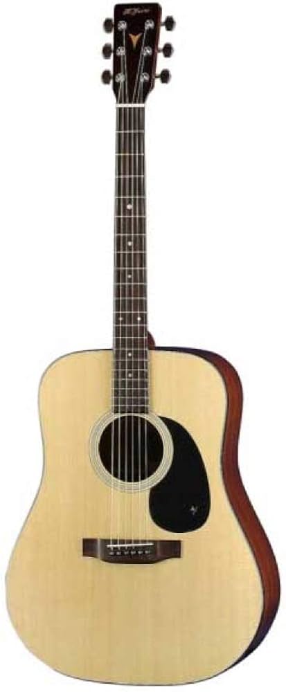 Amazon.co.jp: K.Yairi DY-18 N アコースティックギター フォーク