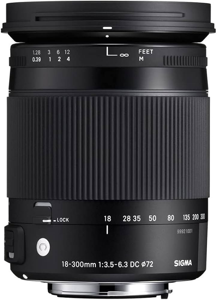 Sigma 18-300mm F3.5-6.3 DC Macro OS HSM (C) for Nikon (DX) Cameras