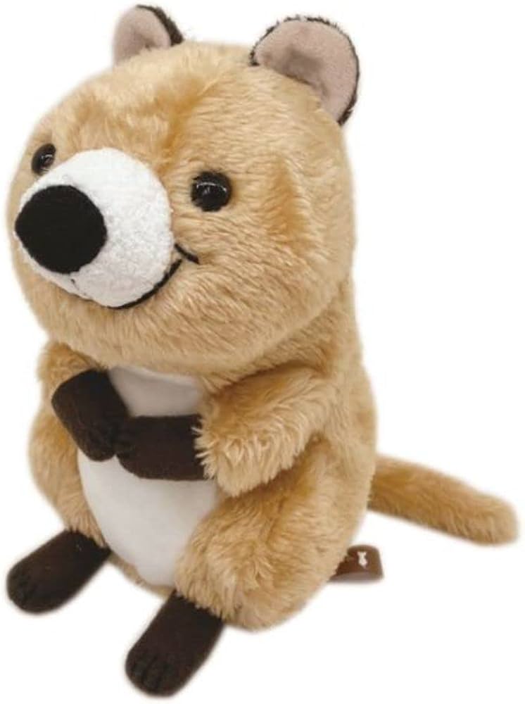Amazon.co.jp: モンスイユ(Monseuil) クオッカ ベージュ ぬいぐるみ