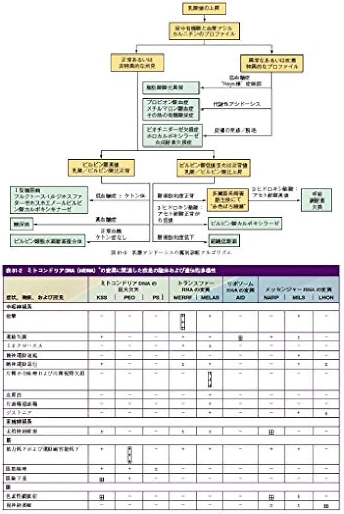 Amazon.co.jp: ネルソン小児科学 原著第19版 : Robert M. Kliegman
